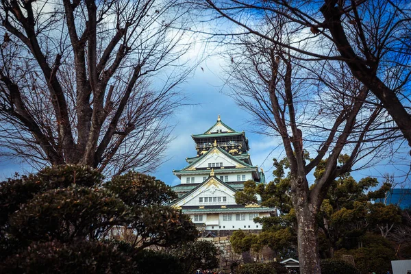 View Sunset Castle Blue Sky Trees Japan — Stock Photo, Image