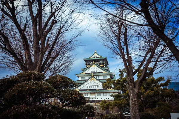 Kilátás Naplemente Vár Alatt Kék Fák Japán — Stock Fotó