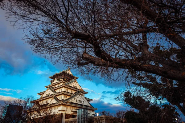 Kilátás Sunset Osaka Kastélyra Kék Fák Alatt Japán — Stock Fotó