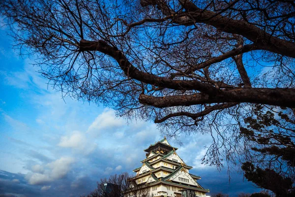 Vista Para Castelo Sunset Osaka Sob Blue Sky Trees Japão — Fotografia de Stock