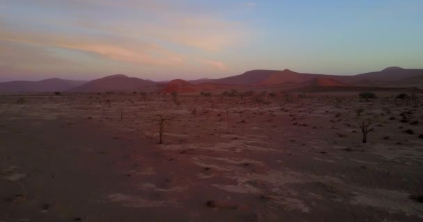 Paysages Désert Namibien Vue Aérienne — Video