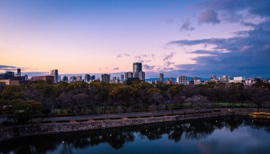 Osaka, Japonya - 08 Ocak 2020: Günbatımında Osaka Şehri 'ne Panoramik Görünüm