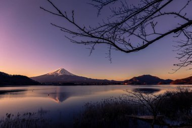 Açık Pembeli Fuji Dağı 'na Gün Doğumu Manzarası ve Violet Sky, Japonya