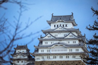 Himeji, Japonya - 08 Ocak 2020: Himeji Kalesi 