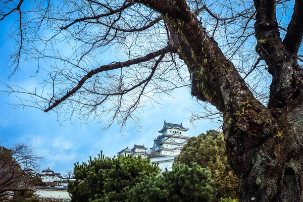 Himeji Giappone Gennaio 2020 Veduta Esterna Del Castello Himeji — Foto Stock