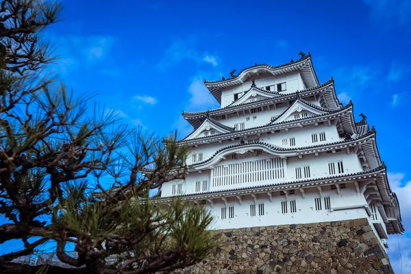 Himeji Japon Janvier 2020 Himeji Castle Vue Extérieur — Photo