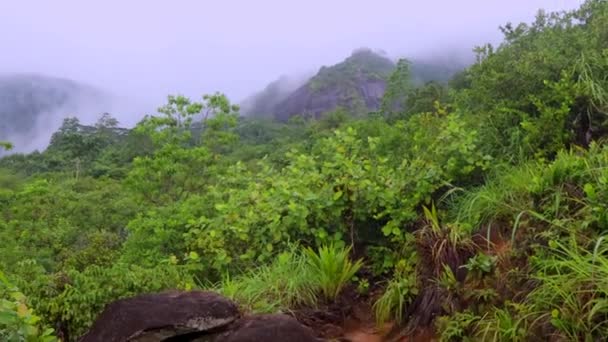 Vista Isla Mahe Niebla Seychelles — Vídeos de Stock