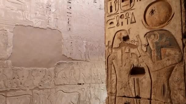 Dessins Anciens Sur Les Murs Temple Medinet Habu Louxor Égypte — Video