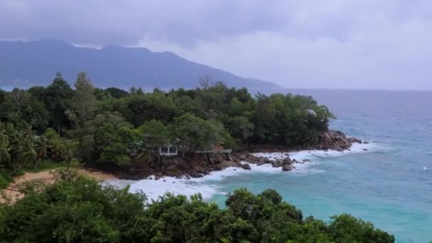 Côte Paysagère Avec Palmiers Vagues Aux Seychelles — Video