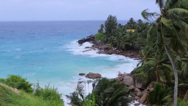 Landschaftliche Küste Mit Palmen Und Wellen Auf Den Seychellen — Stockvideo