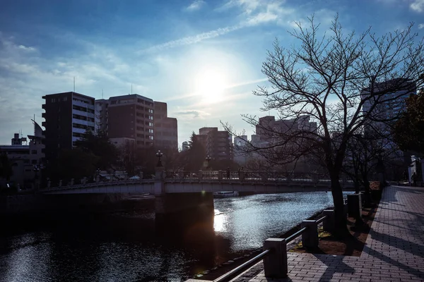 Hiroshima Japan Januari 2020 Panoramautsikt Mot Aftonstaden — Stockfoto