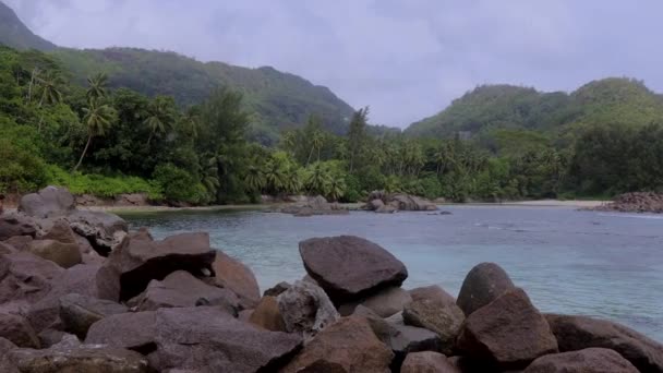 Palmiers Sur Une Île Tropicale Seychelles — Video