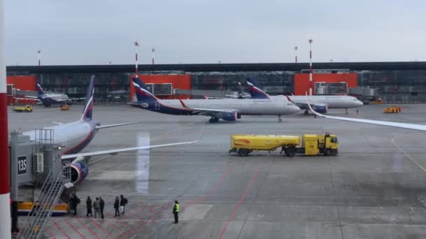Aeroflot All Aeroporto Sheremetyevo — Video Stock