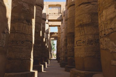 Luxor, Mısır - 11 Kasım 2020: Amun-Re Bölgesi 'ndeki Büyük Hypostyle Salonu' ndaki Karnak Tapınağı Kompleksinin Antik Büyük Sütunları