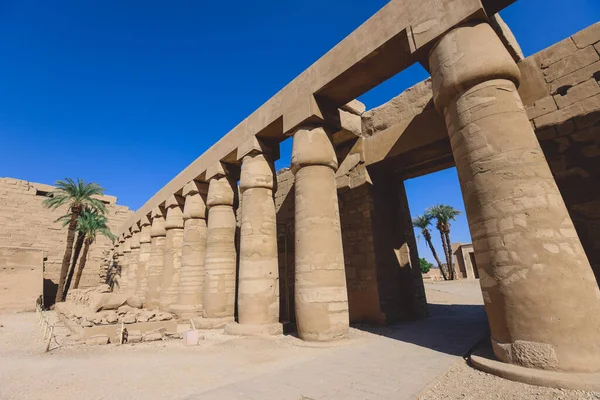 Luxor Єгипет Листопада 2020 Давні Масові Колони Комплексу Храму Карнак — стокове фото