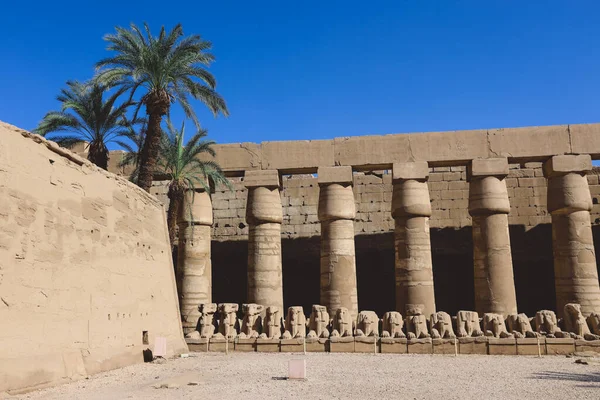 Λούξορ Αίγυπτος Νοεμβρίου 2020 Αρχαίες Τεράστιες Στήλες Του Ναού Καρνάκ — Φωτογραφία Αρχείου