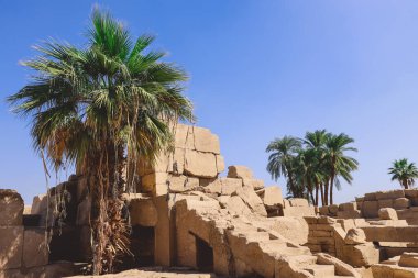 Karnak Tapınağı Kompleksi 'nin Antik Mısır Harabeleri' nin arka planında Lüksör, Mısır yakınlarında palmiye ağaçları bulunuyor.