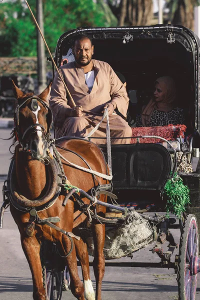 Luxor Єгипет Листопада 2020 Єгипетський Конячий Візок Центрі Луксора Туристами — стокове фото