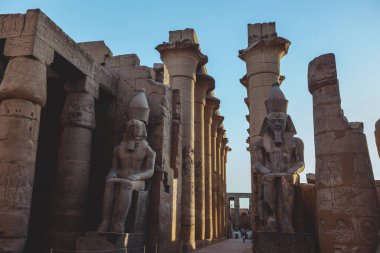 Mısır 'ın Luxor kentindeki büyük Antik Mısır tapınağının Aydınlanmış Taş Heykellerine Gün Batımı Görünümü
