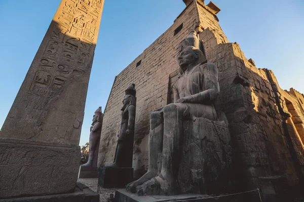 이집트 룩소르에 이집트의 신전의 석주를 — 스톡 사진