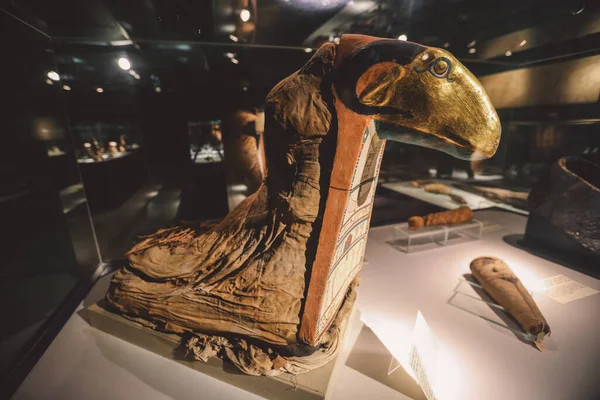 Luxor Egypt November 2020 Ancient Egyptian Exhibits Archaeological Mummification Museum — стокове фото