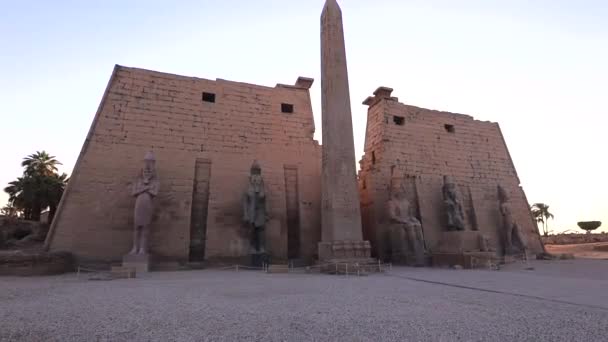 埃及卢克索神庙的大门 夜间照明 — 图库视频影像