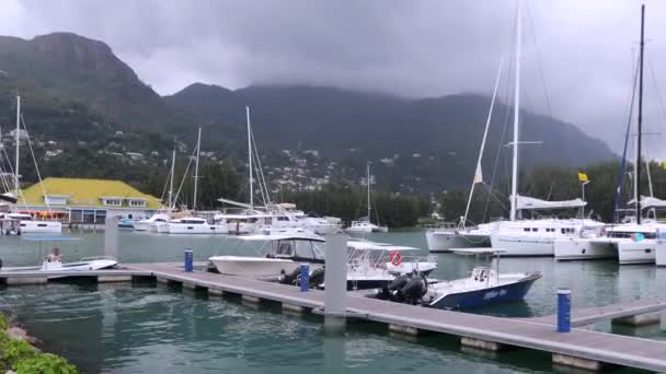 Zeilboten Zeiljachten Seychellen Marina Eden — Stockvideo