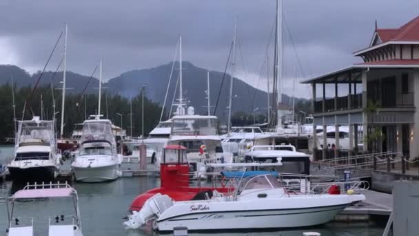 Yacht Dan Perahu Seychelles Marina Pulau Eden — Stok Video
