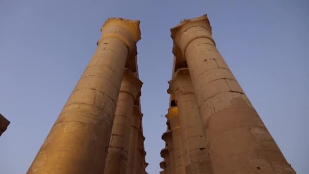 Колонны Храме Луксора Закате Египет — стоковое видео