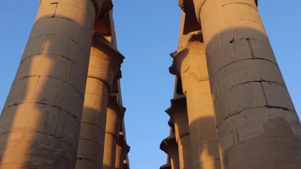 Колони Луксорському Храмі Під Час Заходу Сонця Єгипет — стокове відео