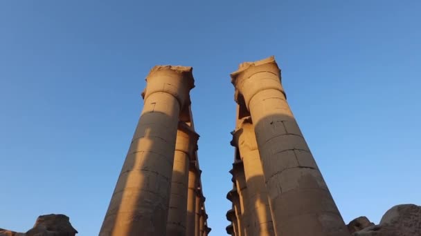 Колонны Храме Луксора Закате Египет — стоковое видео
