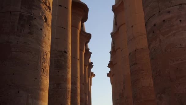 日落时分埃及卢克索神庙的柱子 — 图库视频影像