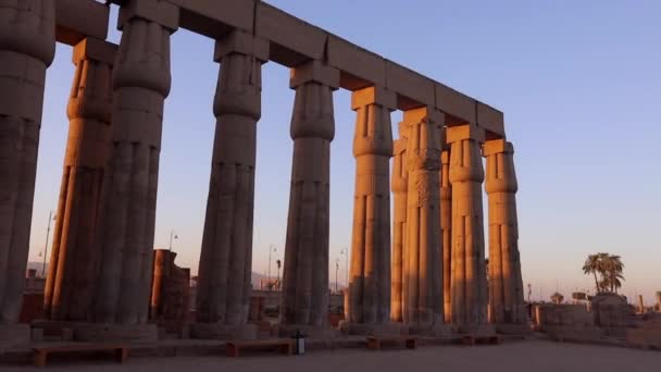 Gün Batımında Mısır Daki Luxor Tapınağı Ndaki Sütunlar — Stok video