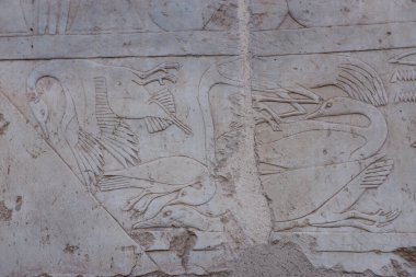 Luxor, Mısır - 13 Kasım 2020: Antik Mısır 'da Hatshepsut Morg Tapınağı Duvarlarına Çizim