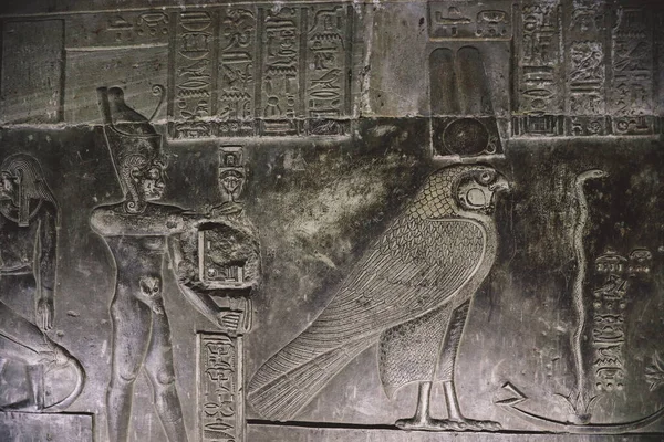 Zicht Een Oude Egyptische Tekening Muren Van Het Dendera Tempelcomplex — Stockfoto