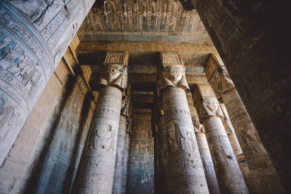 Veduta Antico Egitto Dipinto Pilastri Del Complesso Tempio Dendera Nel — Foto Stock