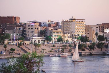 Günbatımı Manzarası: Palmiye ağaçlarıyla Panoramik Aswan şehri, Mısır
