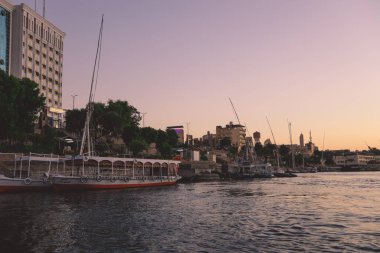 Günbatımı Manzarası: Palmiye ağaçlarıyla Panoramik Aswan şehri, Mısır