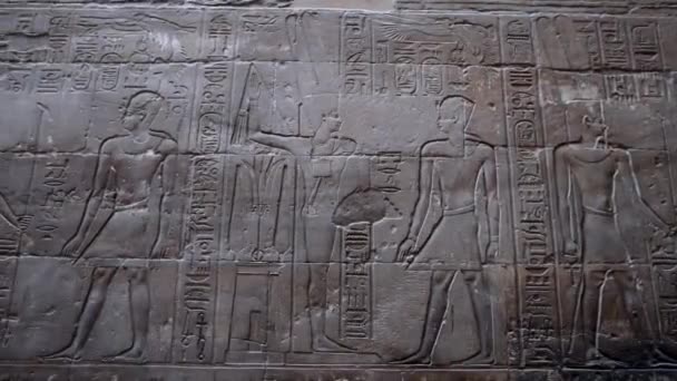 Engravings Walls Luxor Temple Egypt — Stock video