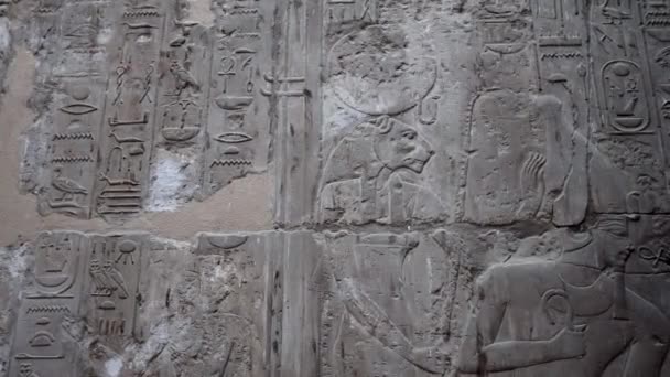 Gravures Muren Van Luxor Tempel Egypte — Stockvideo