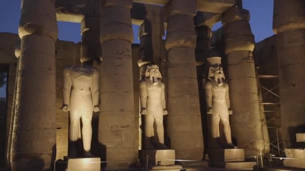 Posągi Świątyni Luxor Wieczorem Egipt — Wideo stockowe