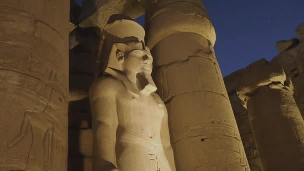 Estatuas Templo Luxor Noche Egipto — Vídeo de stock