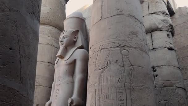 Sochy Luxor Temple Večerních Hodinách Egypt — Stock video