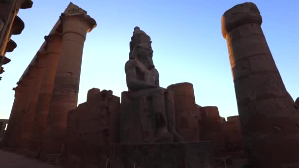 Statues Luxor Temple Evening Egypt — Vídeos de Stock