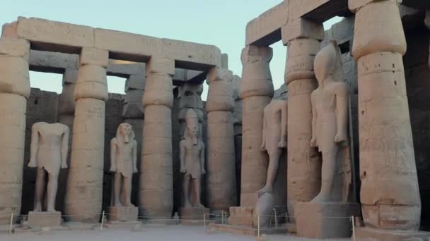 Estatuas Templo Luxor Noche Egipto — Vídeo de stock