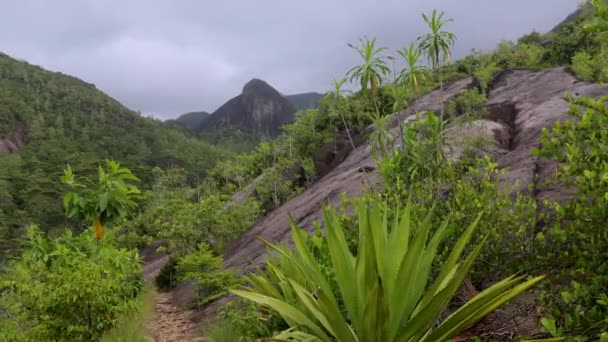 塞舌尔Anse主要徒步路线的性质 — 图库视频影像
