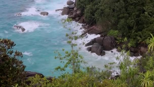 Natureza Rota Trekking Anse Major Trail Seychelles — Vídeo de Stock