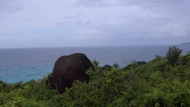 Nature Anse Major Trail Trekking Route Seychelles — Video Stock