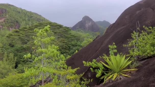 Nature Anse Major Trail Trekking Route Seychelles — Stockvideo