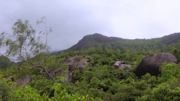 Nature Anse Major Trail Trekking Route Seychelles — Stockvideo